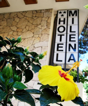 Hotel Milena Rimini